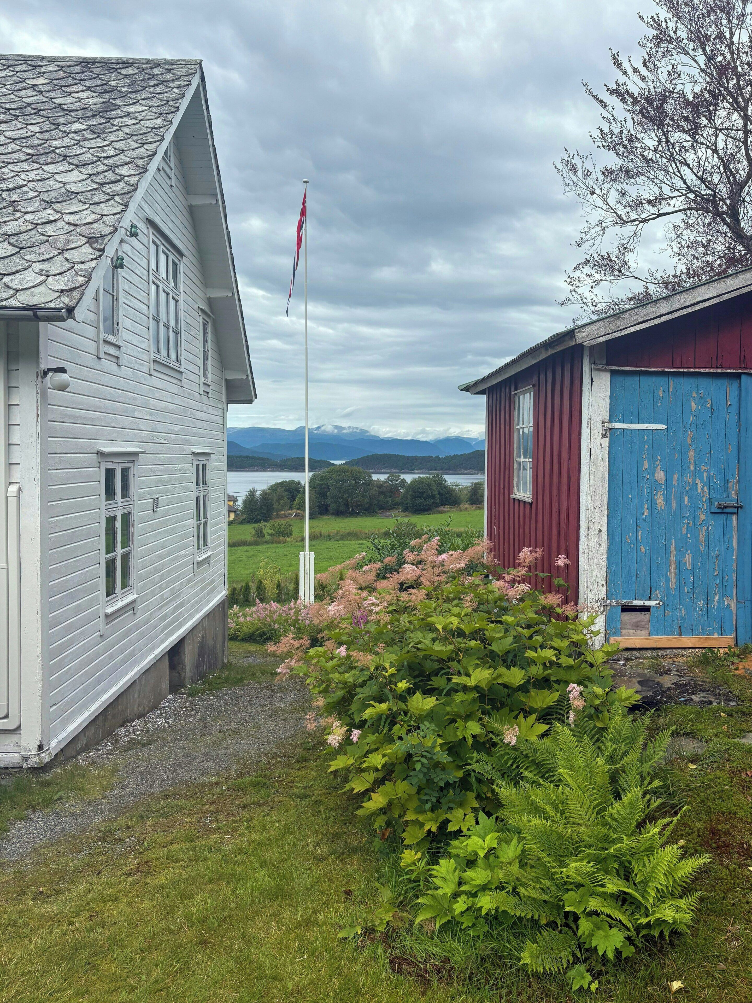 A house with a flagpole, a blue shed, and a grassy area with ferns.