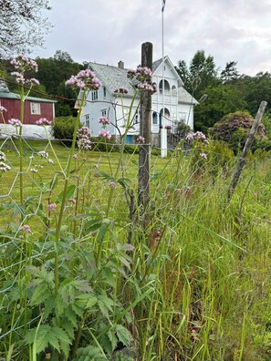 Overnattingsstedets uteområder