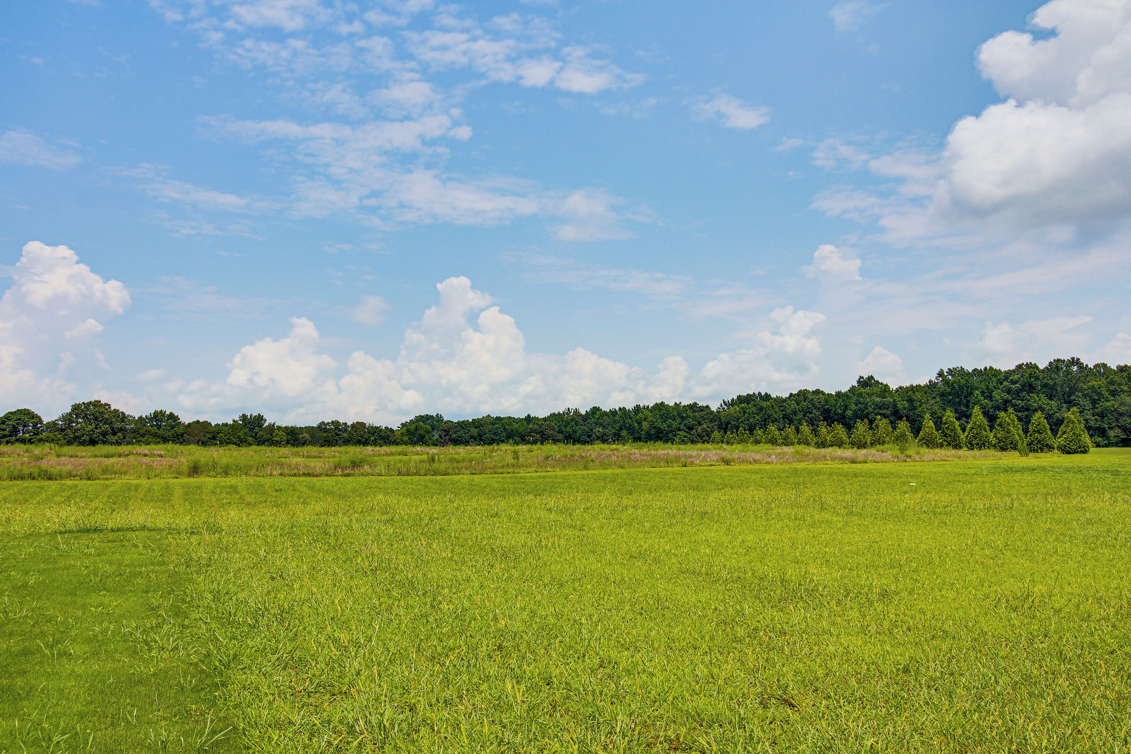 A wide-open field with a line of trees in the distance under a clear sky.
