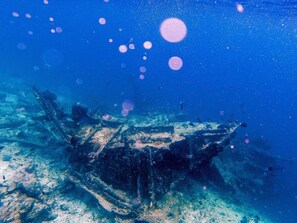 An underwater scene with a shipwreck and marine life. - The Sultanate Courtyard (Hinnavaru)