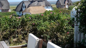 En kustby med hus som har halmtak, en träbänk och utsikt över havet.