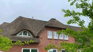 Een huis met rieten dak, bakstenen muren en meerdere ramen.
