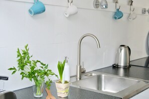 Eine Küche mit Spüle aus Edelstahl, einem Wasserhahn, einem Wasserkocher und einem Blumentopf.