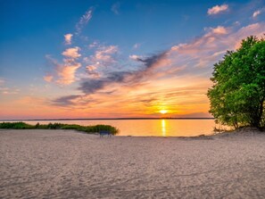 Ein Strand mit einer Bank und einem Baum, der auf ruhiges Wasser bei Sonnenuntergang blickt.