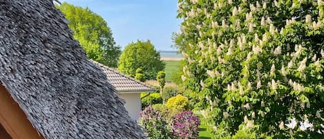 Una construcción con techo de paja, un césped cuidado y un árbol frondoso con flores blancas.