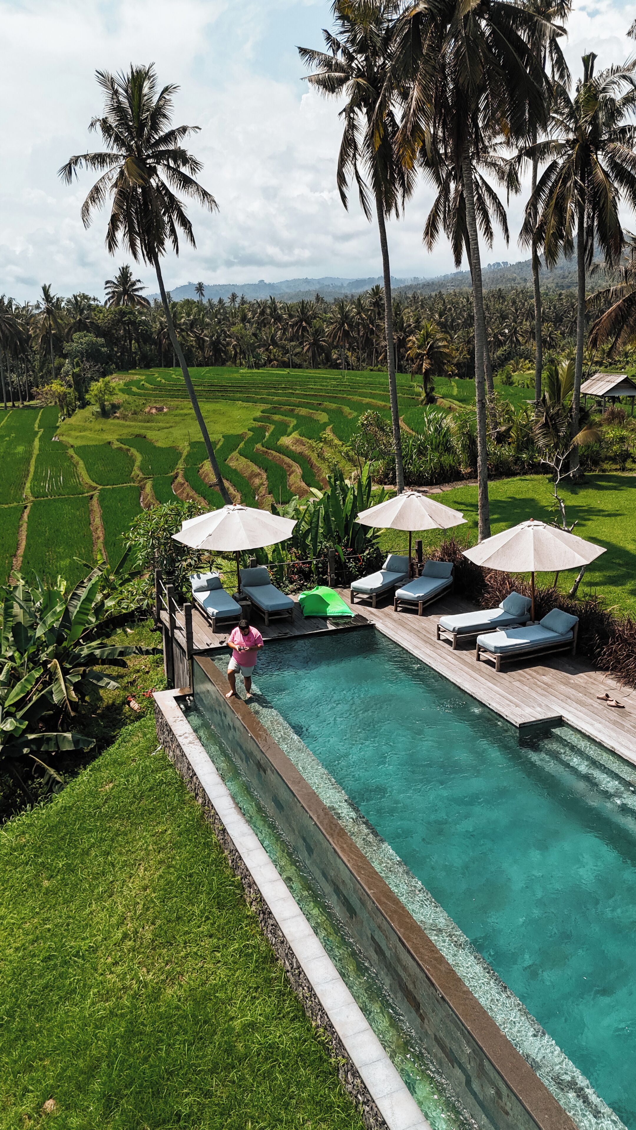 A pool area with lounge chairs and umbrellas, surrounded by lush greenery and palm trees.