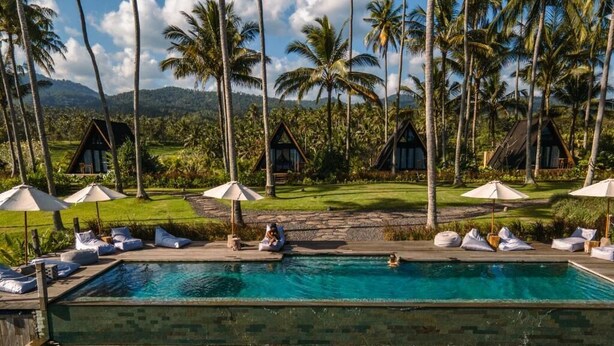A pool area with lounge chairs and umbrellas, surrounded by palm trees and a view of the landscape. - Desa Cabins (Tabanan)