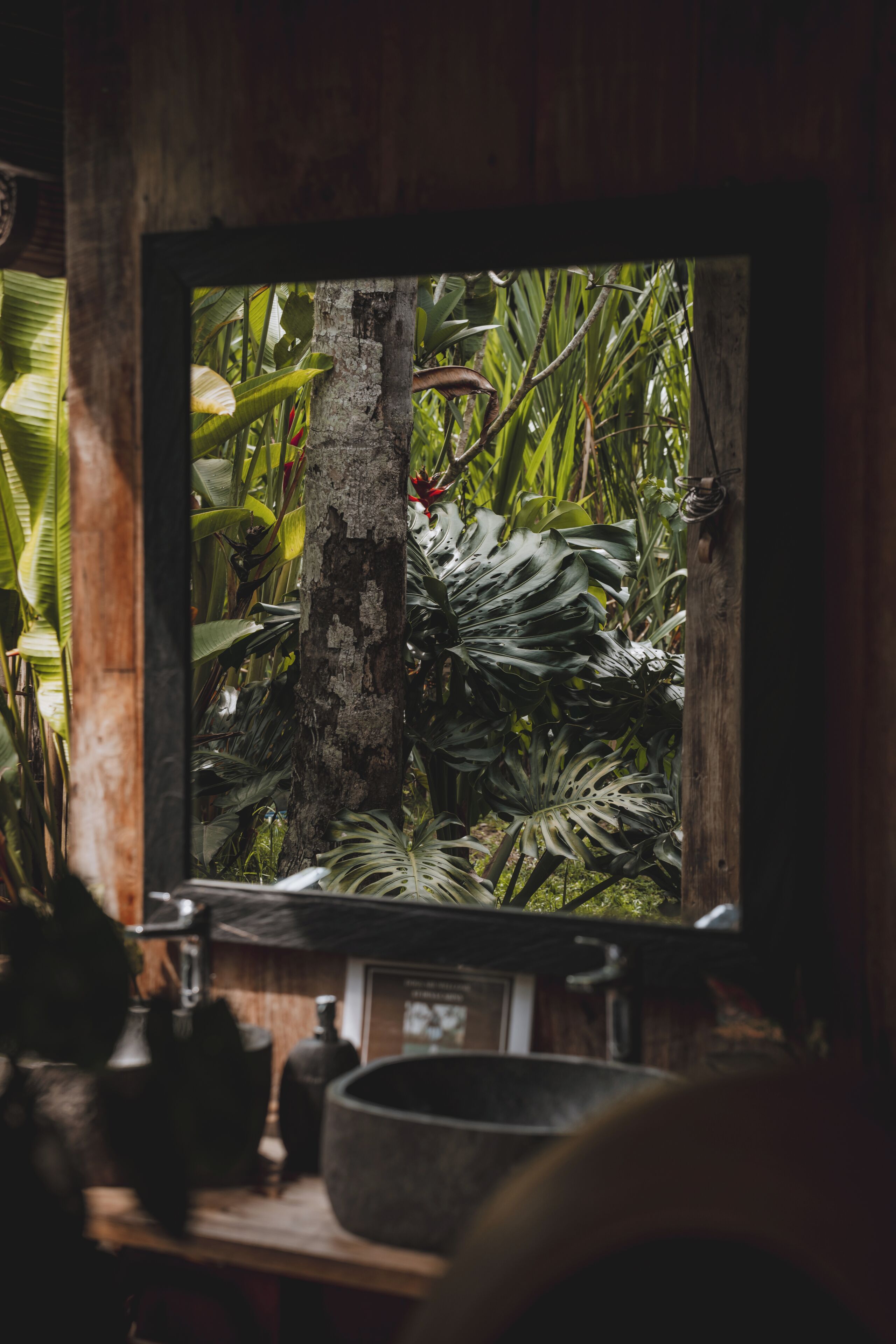 Una pantalla de televisión muestra una escena de plantas tropicales, con un marco de madera y un interior rústico.