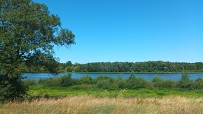 Un lago con orilla arbolada y un gran árbol en primer plano.