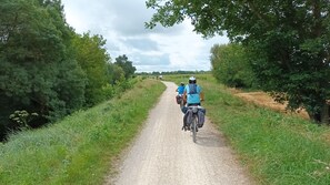 A gravel path flanked by greenery, leading to a distant group of people. - Studio de la Liberté - Air Conditioning - Sleeps 4 (Châteauneuf-sur-Loire)