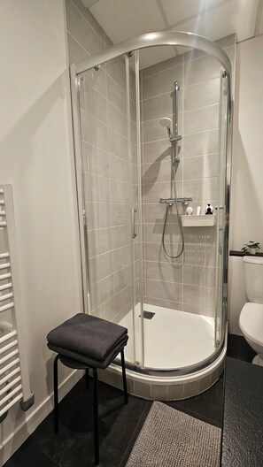 Bathroom - Studio de la Liberté - Air Conditioning - Sleeps 4 (Châteauneuf-sur-Loire)