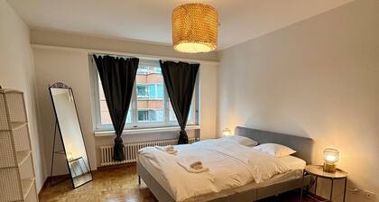 Basic 2 BR Apartment in Witikon district