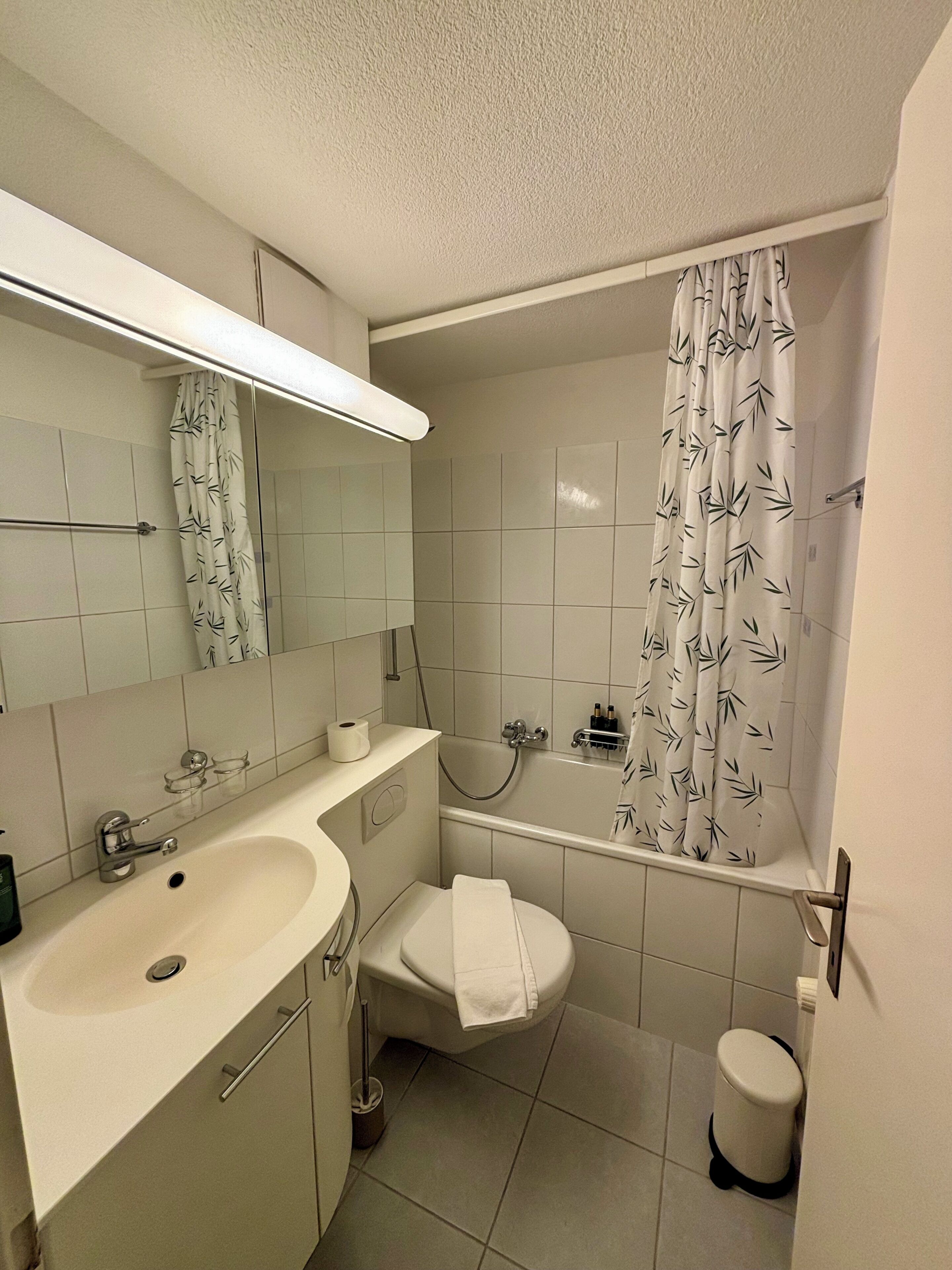 Apartment, 2 Bedrooms, Balcony | Bathroom