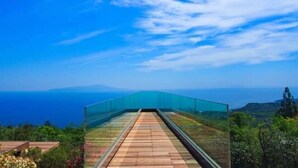 A glass bridge with a wooden walkway leading to a scenic overlook.