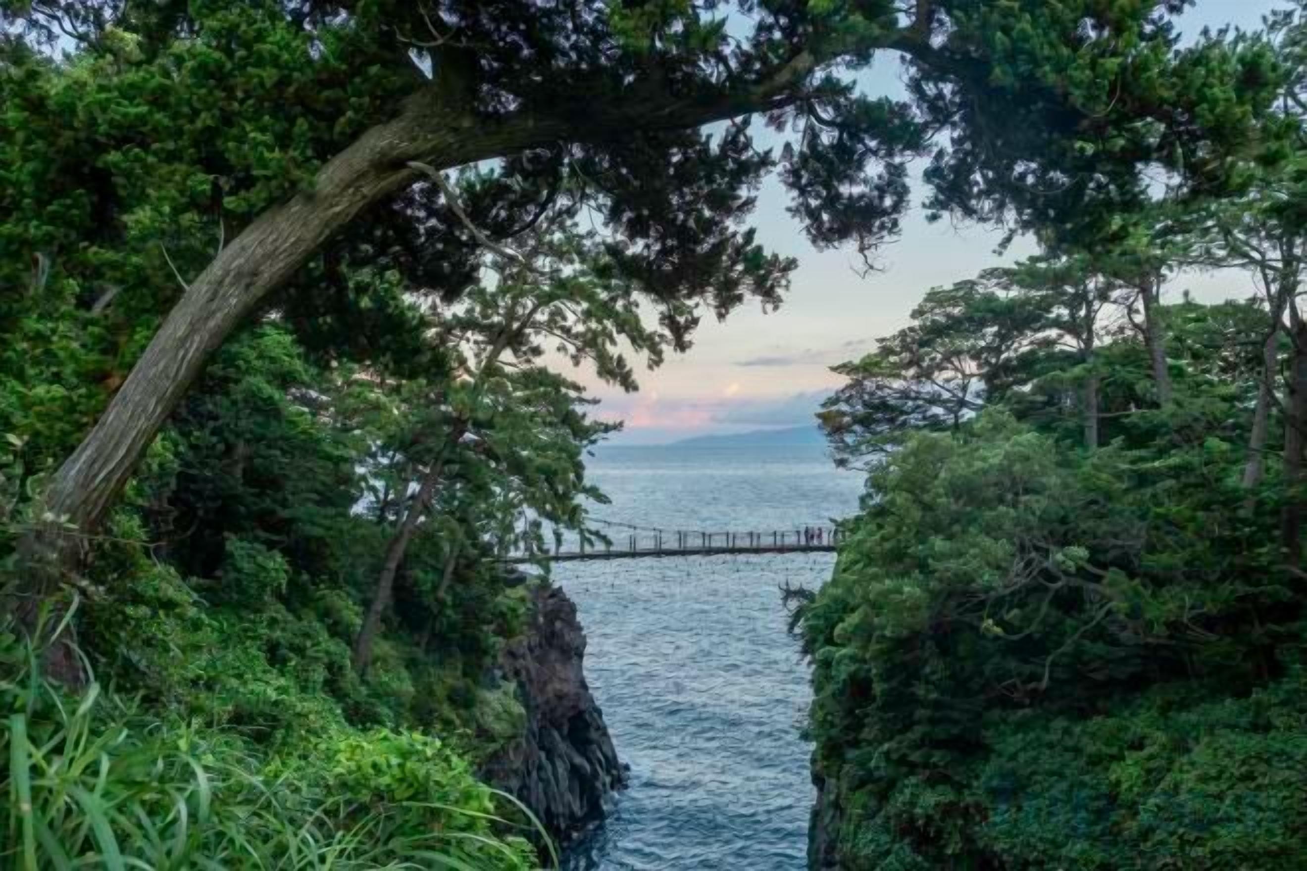 A coastal landscape with a bridge, dense foliage, and a body of water.