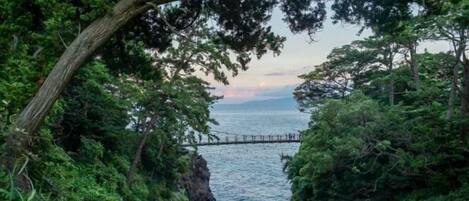 A coastal landscape with a bridge, dense foliage, and a body of water.