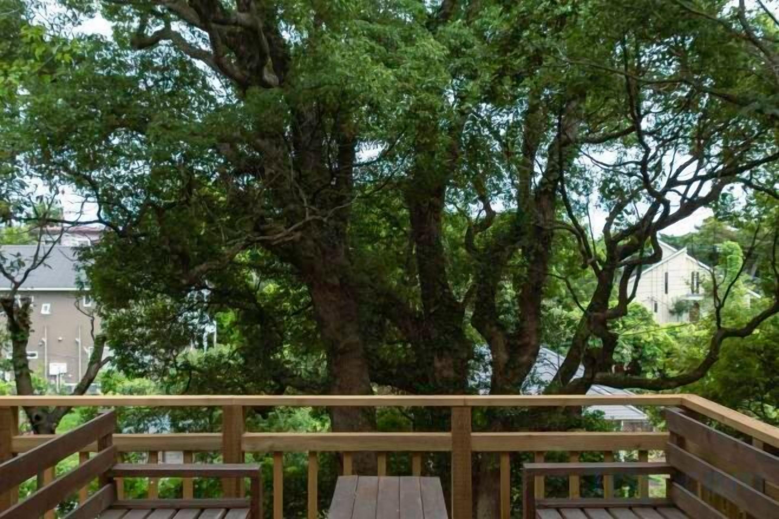 Una terraza de madera con vistas a grandes árboles y una casa al fondo.