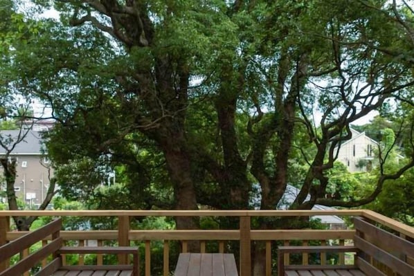 Um deck de madeira com vista para árvores grandes e uma casa ao fundo.