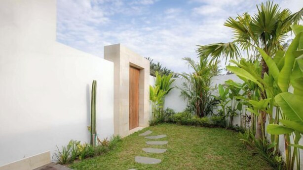 A modern outdoor space with a concrete wall, a wooden door, a narrow pathway, and tropical plants.