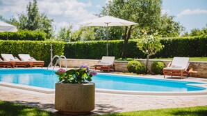 A swimming pool with lounge chairs and umbrellas, surrounded by greenery.