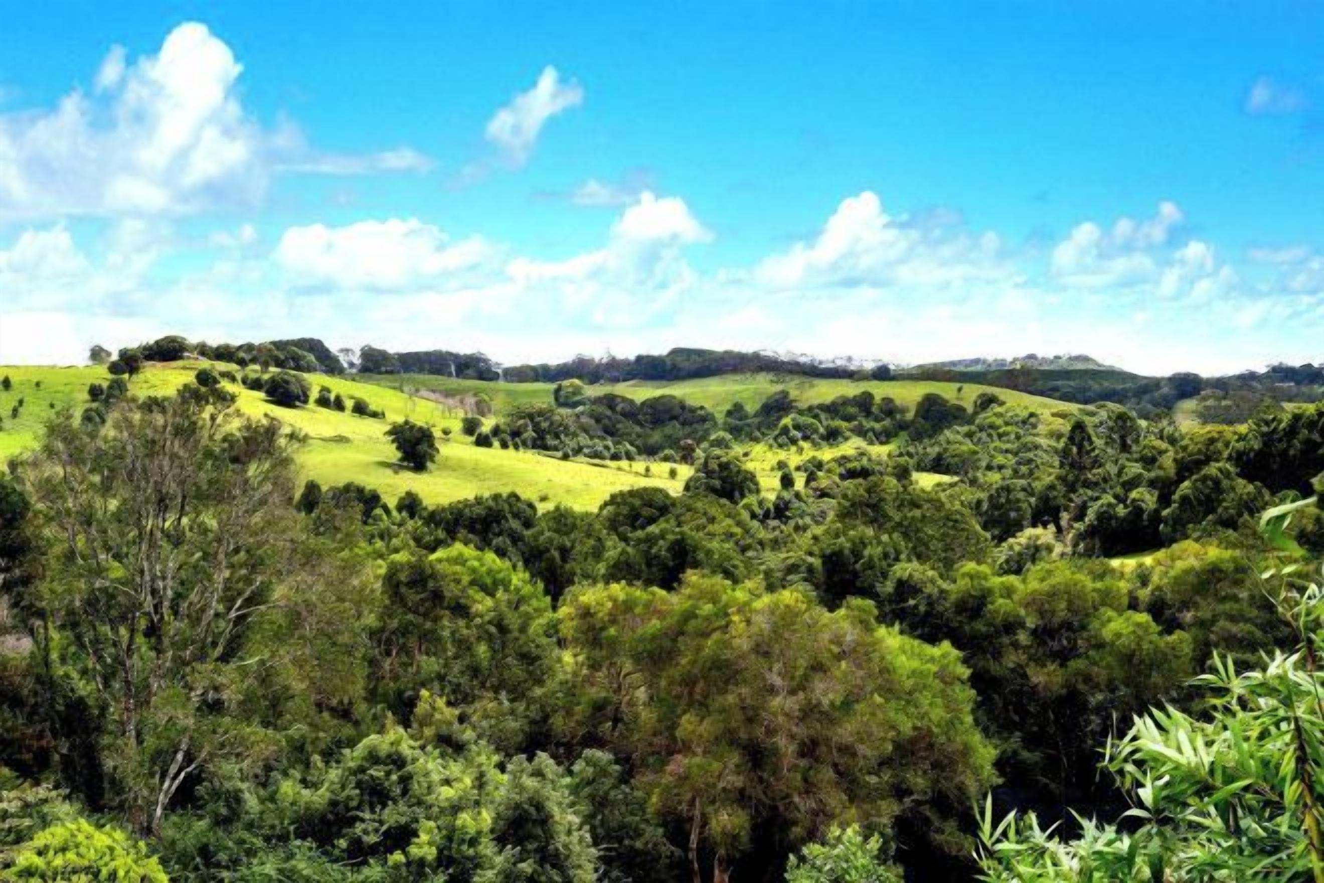 A landscape with rolling hills and dense greenery.