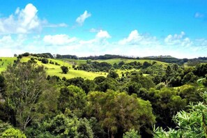 A landscape with rolling hills and dense greenery. - Bodhi Nature (Possum Creek)