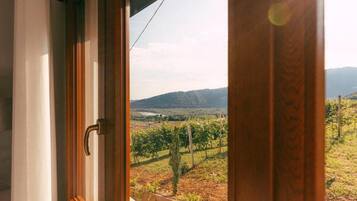 A view through a window with a wooden frame, overlooking a vineyard with rows of grapevines and distant hills.