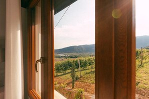 Vista a través de una ventana con marco de madera, que da a un viñedo con hileras de vides y colinas al fondo.