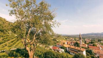 A rural landscape with a prominent tree, terraced vineyards, and traditional buildings.