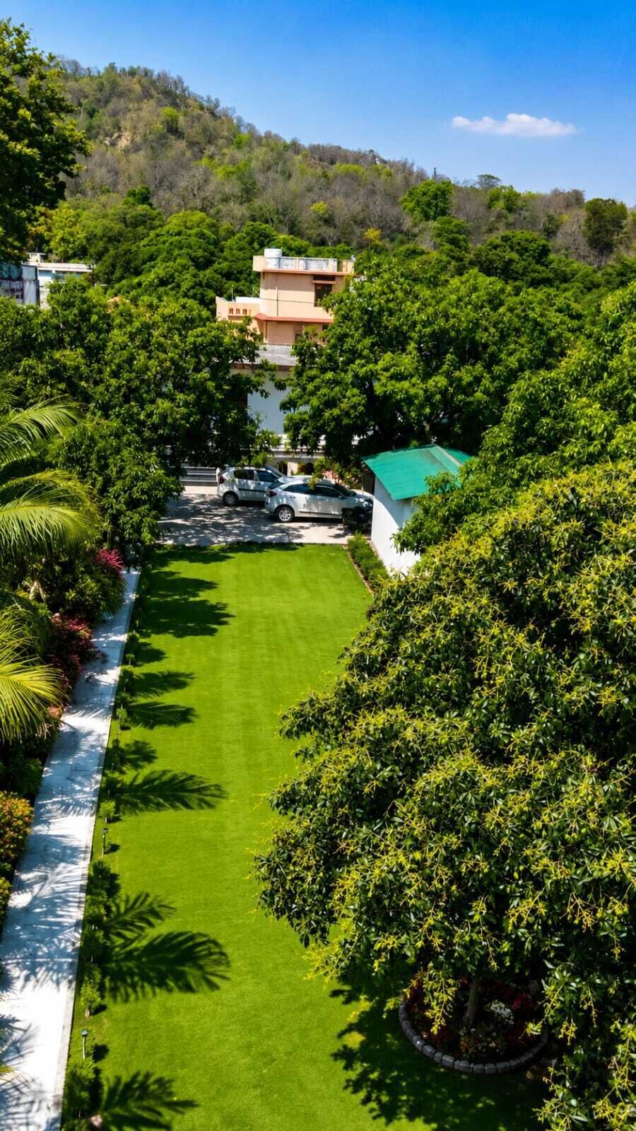 Garden