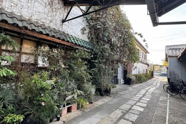 A narrow alley with potted plants lining one side and a bicycle parked on the right.