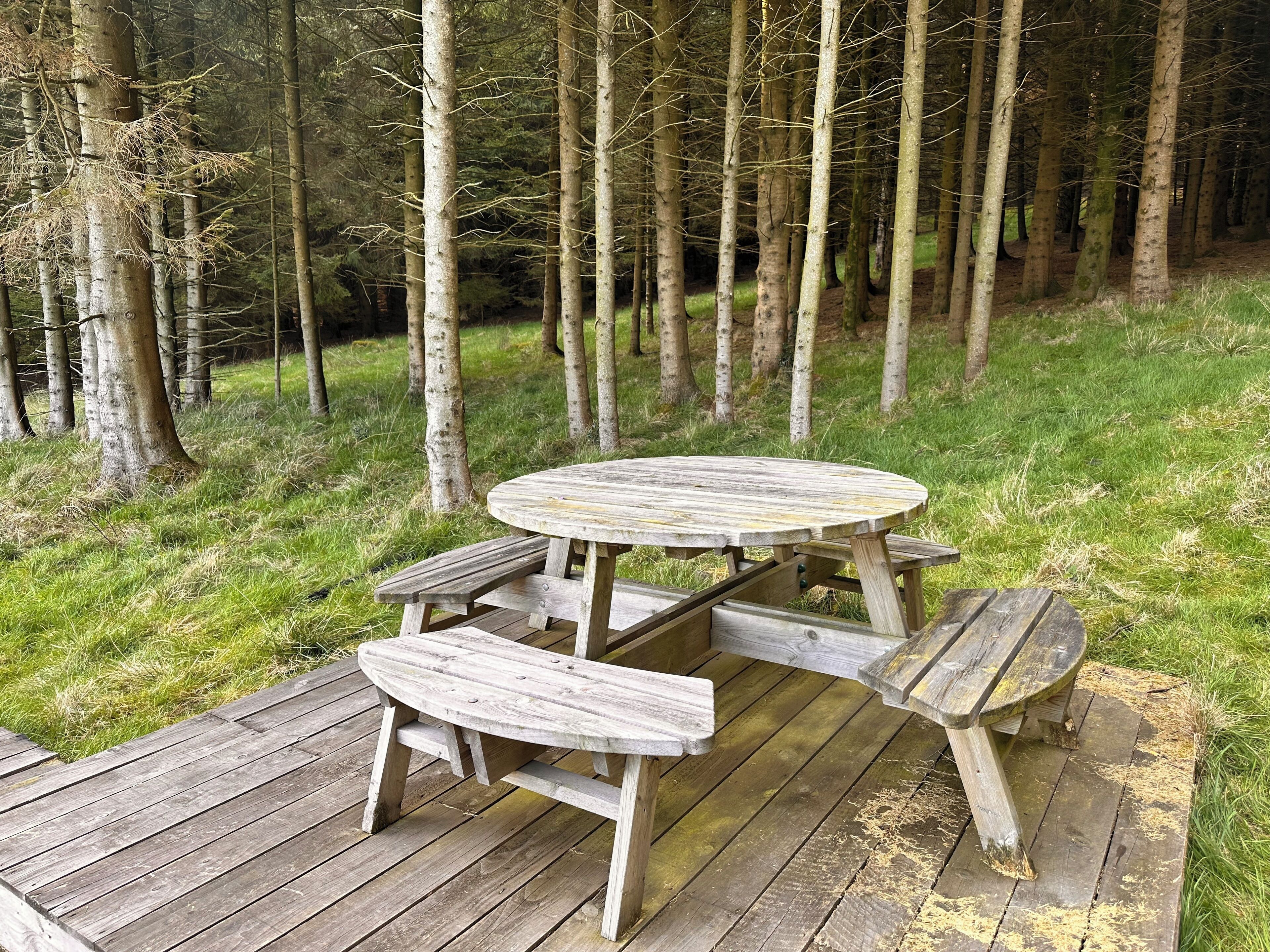 A wooden deck with a picnic table surrounded by trees.