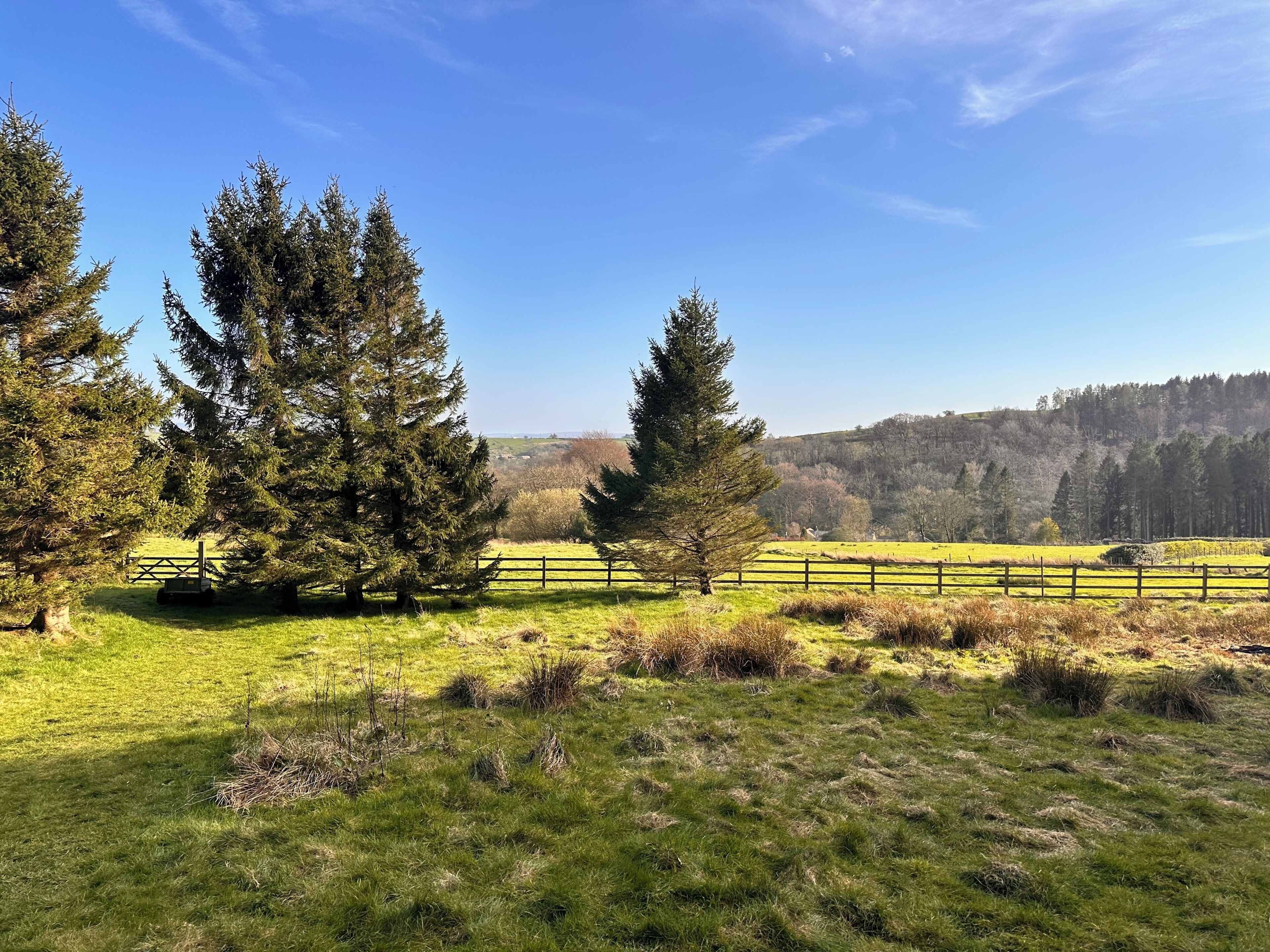 A rural landscape with a fenced field, trees, and a hilly backdrop.
