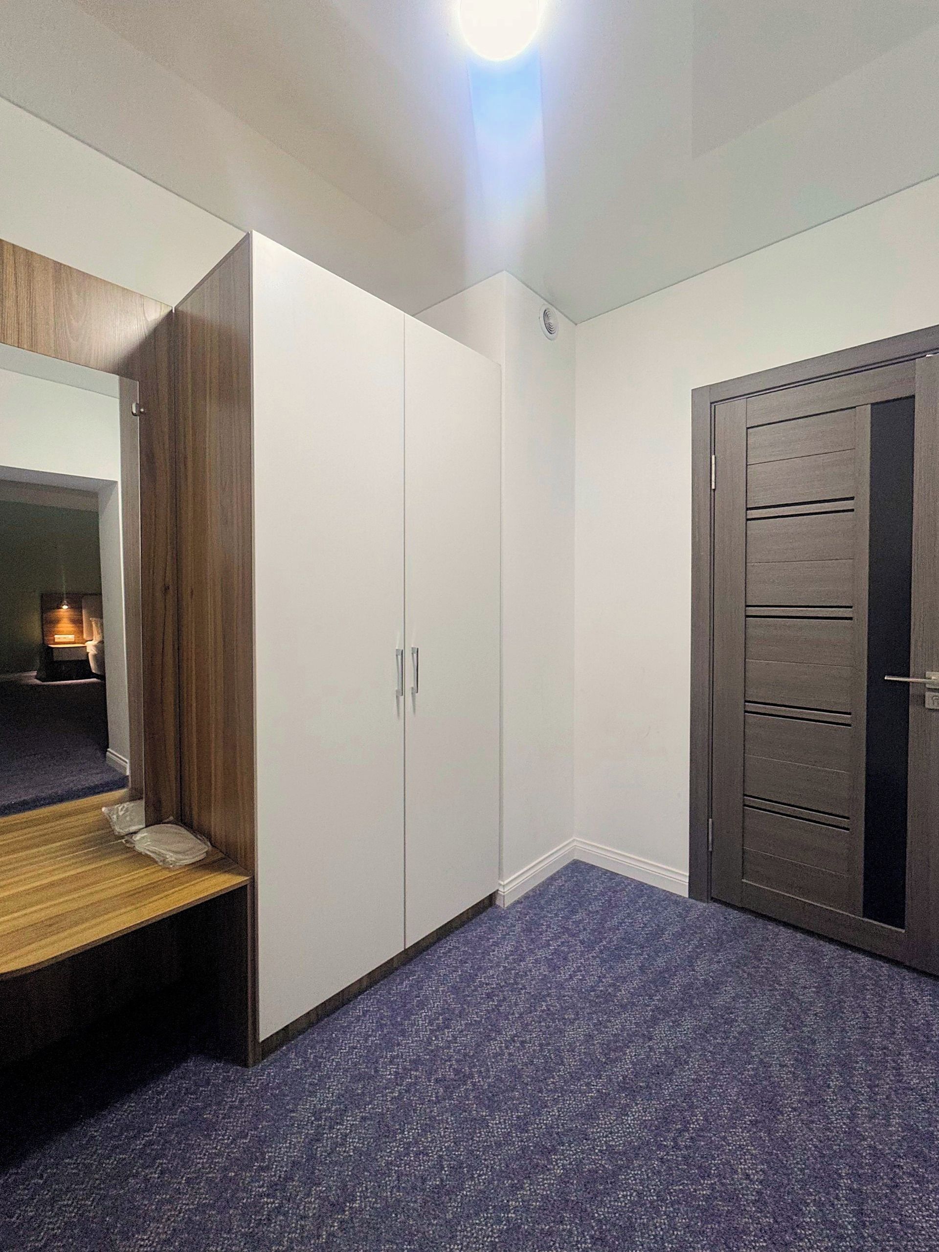 A room with a wardrobe, a mirror, and a door.