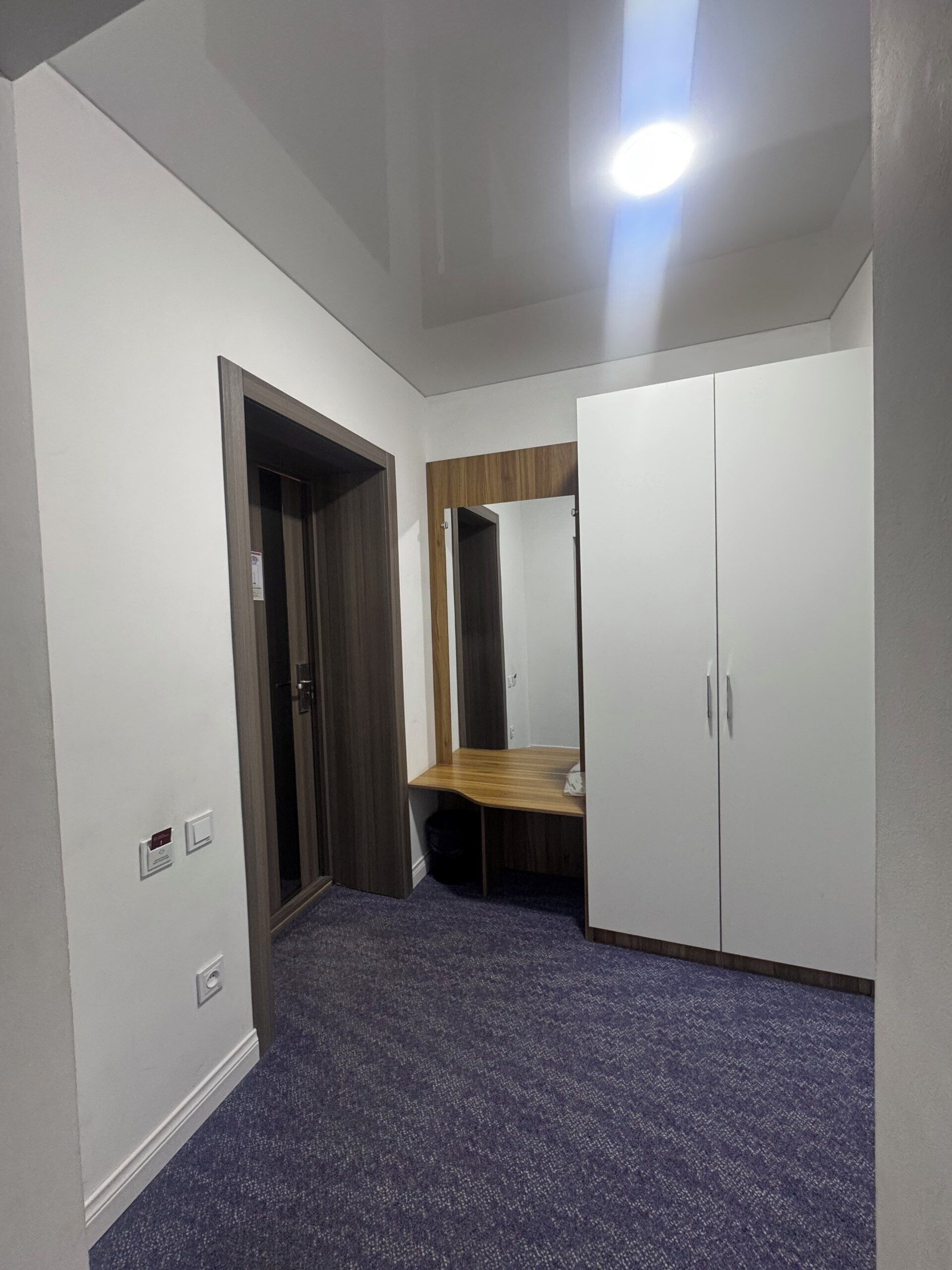 A hallway with a door, a mirror, a wardrobe, and a carpeted floor.