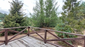 Eine Holterrasse mit Metallgeländer, mit Blick auf einen bewaldeten Bereich.