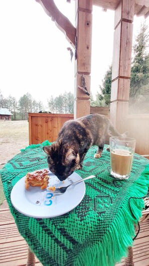 A cat on a table with a plate of food and a glass of beverage.