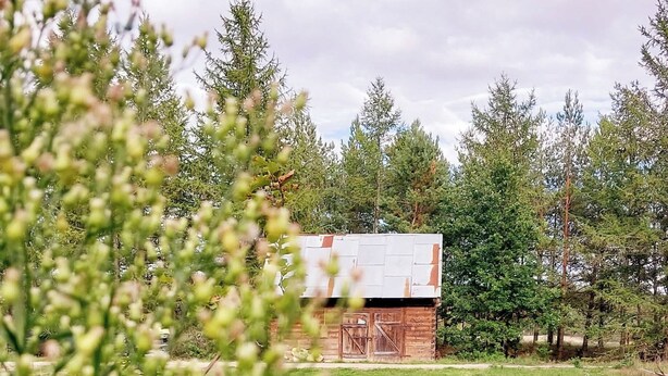 Een houten gebouw in rustieke stijl met een rood dak, omringd door een grasveld en bomen.