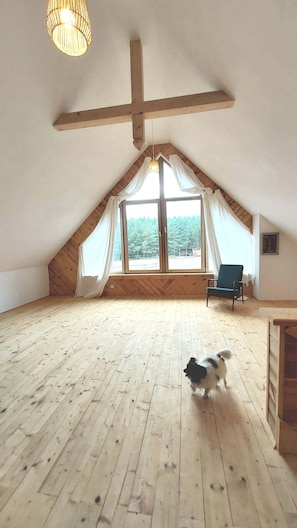 Ein geräumiges Dachzimmer mit Holzdielen, einem großen Fenster mit Vorhängen, einer Hängeleuchte und einem Hund.