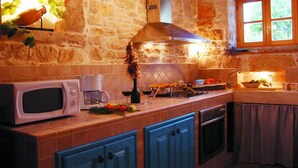 A kitchen with stone walls, a built-in microwave, a coffee maker, and a stove. - Villa Morus by Villas Guide (Svetvincenat)