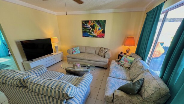 Ein Wohnzimmer mit zwei Sofas, einem Couchtisch, einem Fernseher und einem Bild an der Wand.