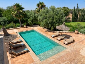 Una piscina rectangular con agua cristalina y azul, rodeada de sillas de descanso y sombrillas, ubicada en un jardín ajardinado con diversas plantas y árboles.