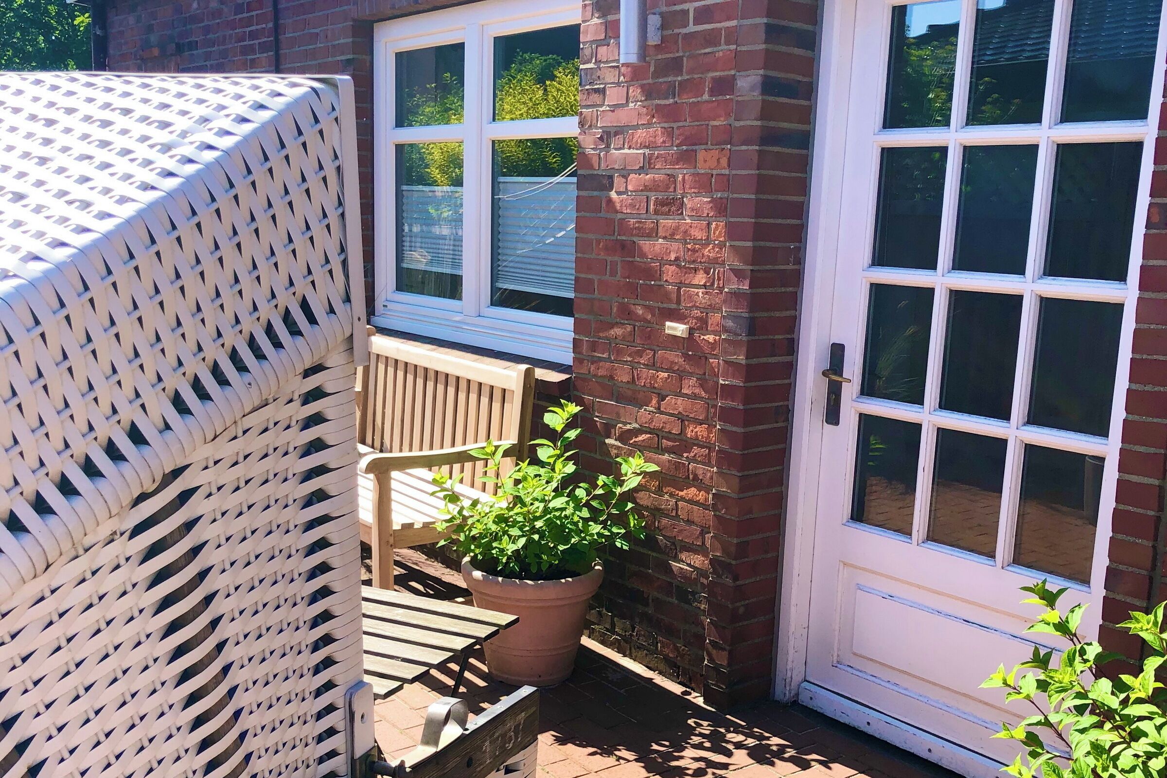 A small outdoor area with a wooden bench, a potted plant, and a white door with glass panels.
