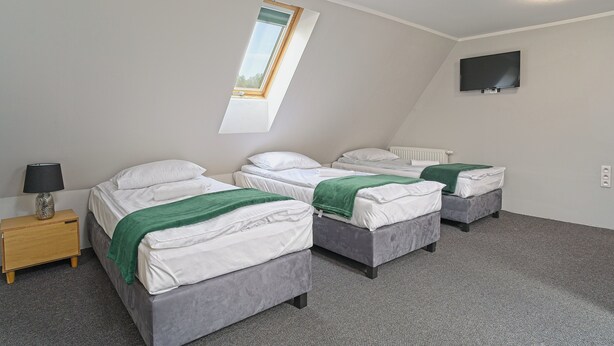 A room with two beds, a TV, a window, and a lamp.
