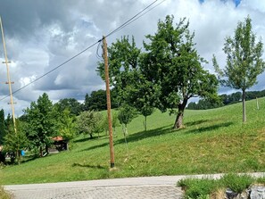 Un sendero pavimentado que atraviesa un área verde con árboles y un poste de electricidad.