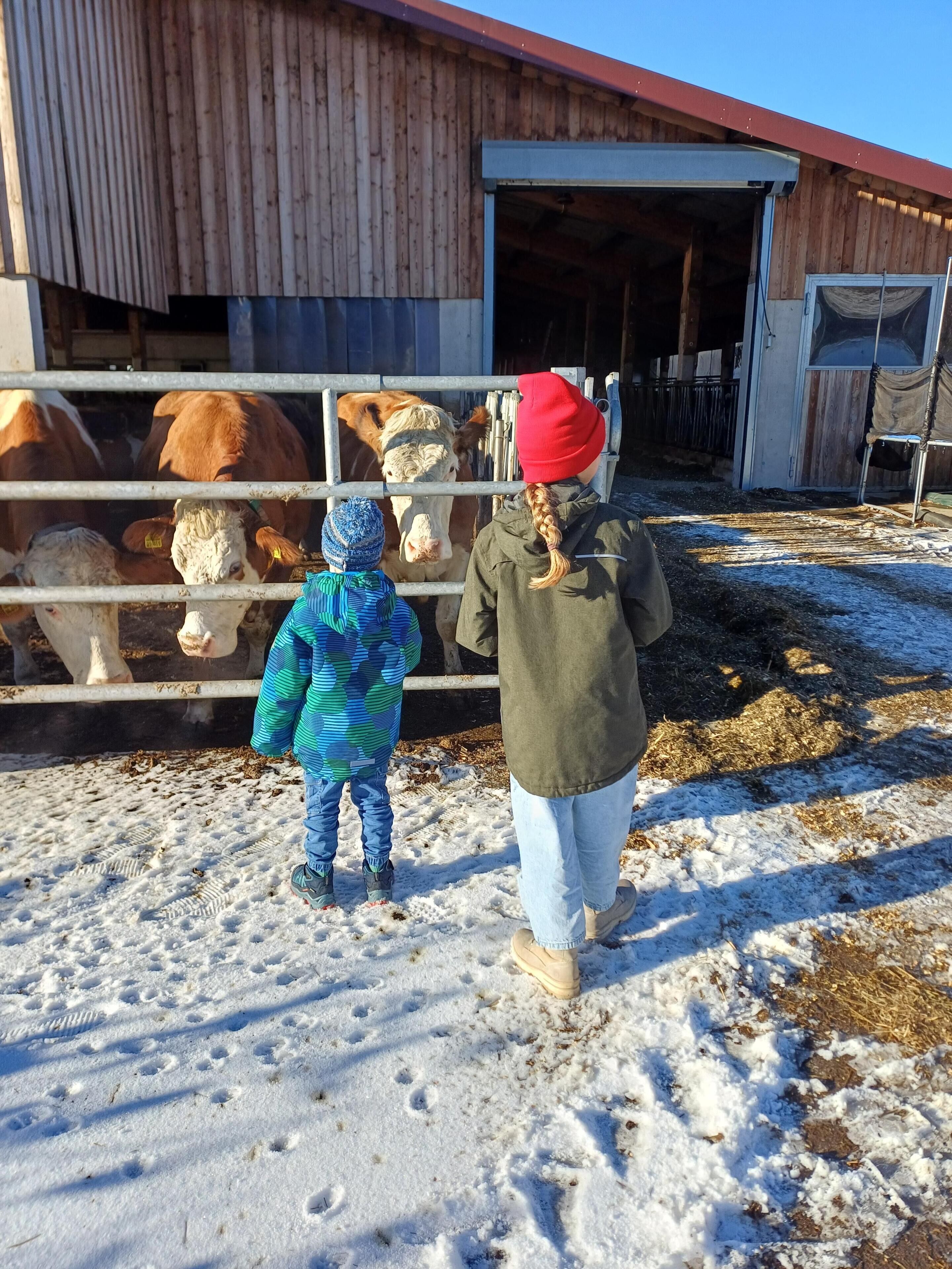 A barn with a metal gate, snow on the ground, and two people standing in front of it.