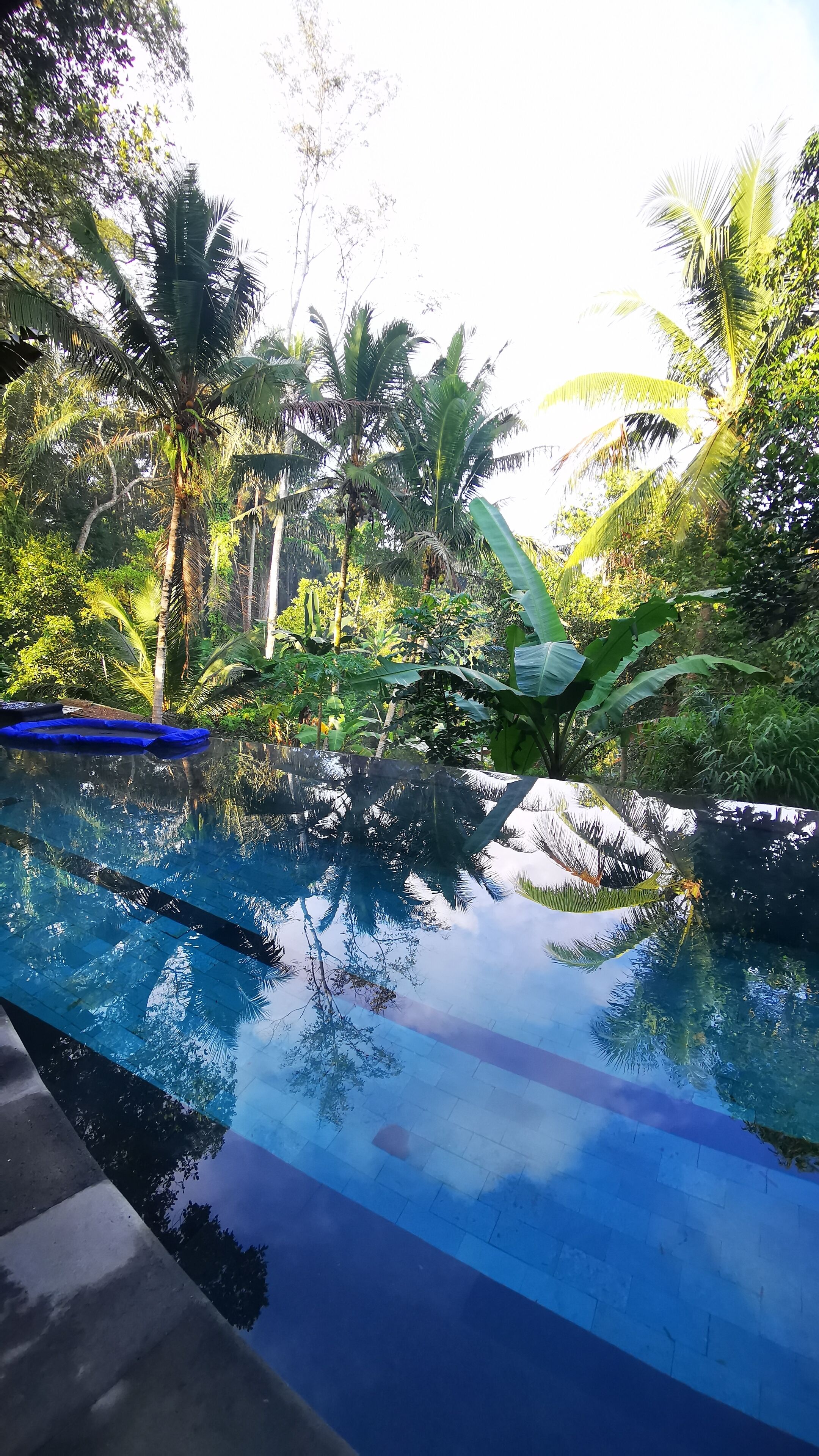 Piscine extérieure