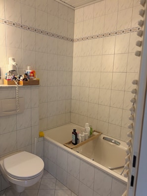 Ein Badezimmer mit Toilette, Duschbereich und Waschtisch mit Toilettenartikeln.