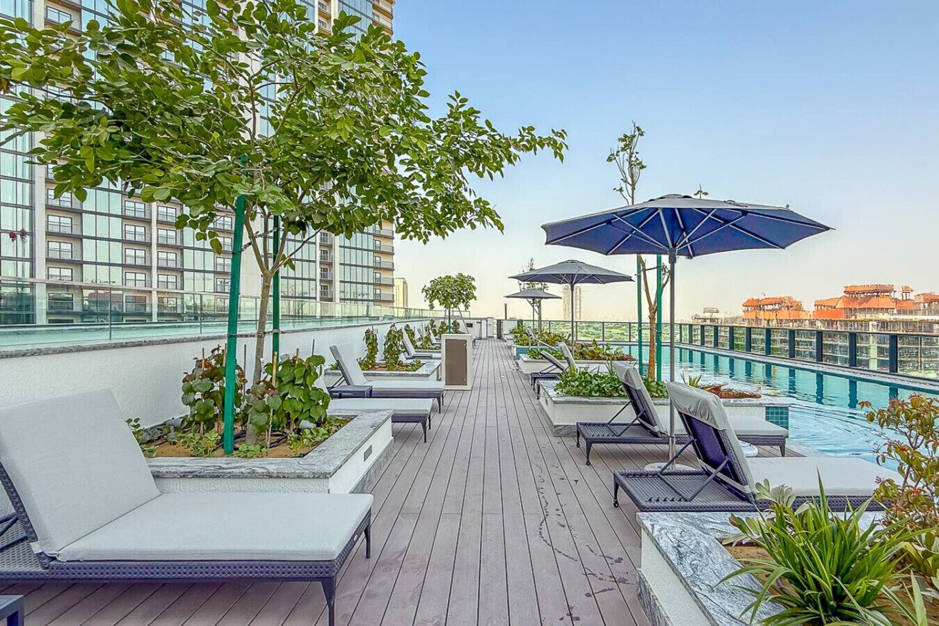 Un área de piscina en la azotea con sillones, sombrillas y plantas en macetas.
