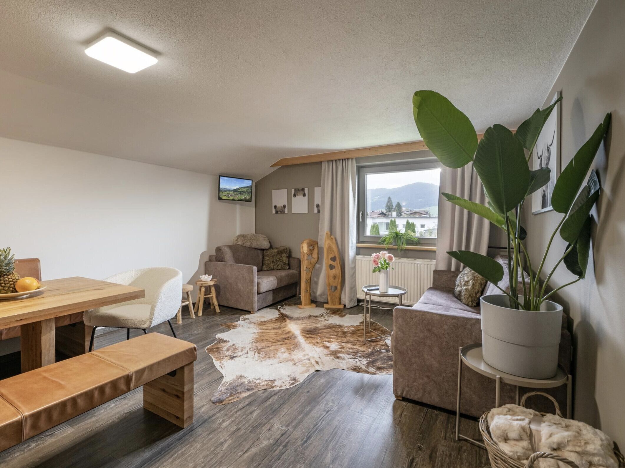 Uma sala de estar moderna com uma mesa de jantar de madeira, um sofá, uma mesa de centro e uma grande planta em vaso.